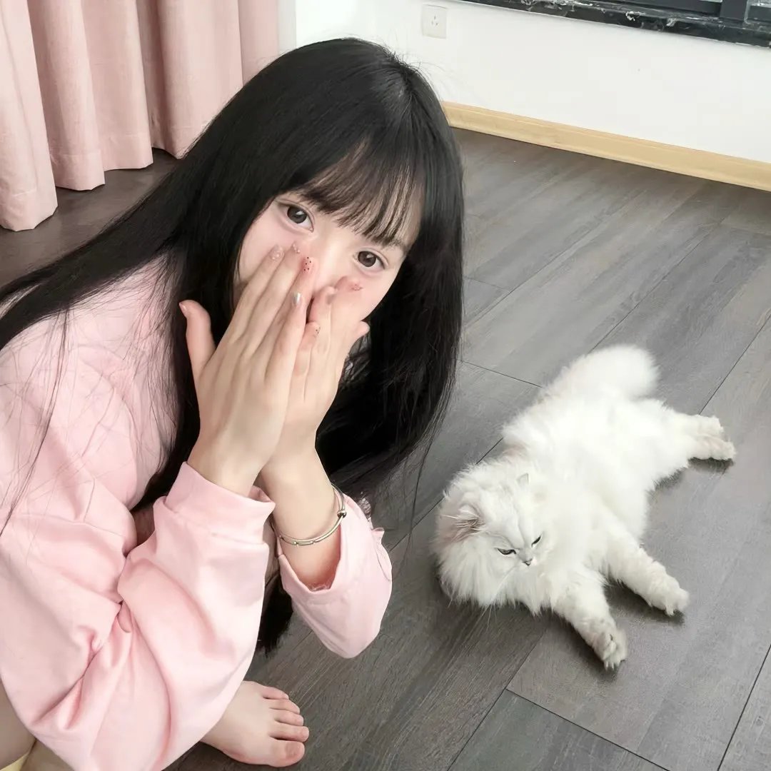 歌舞团的女人们