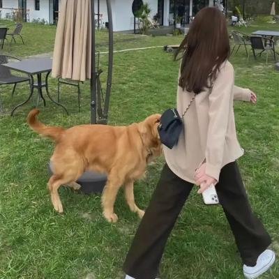 黑赦会